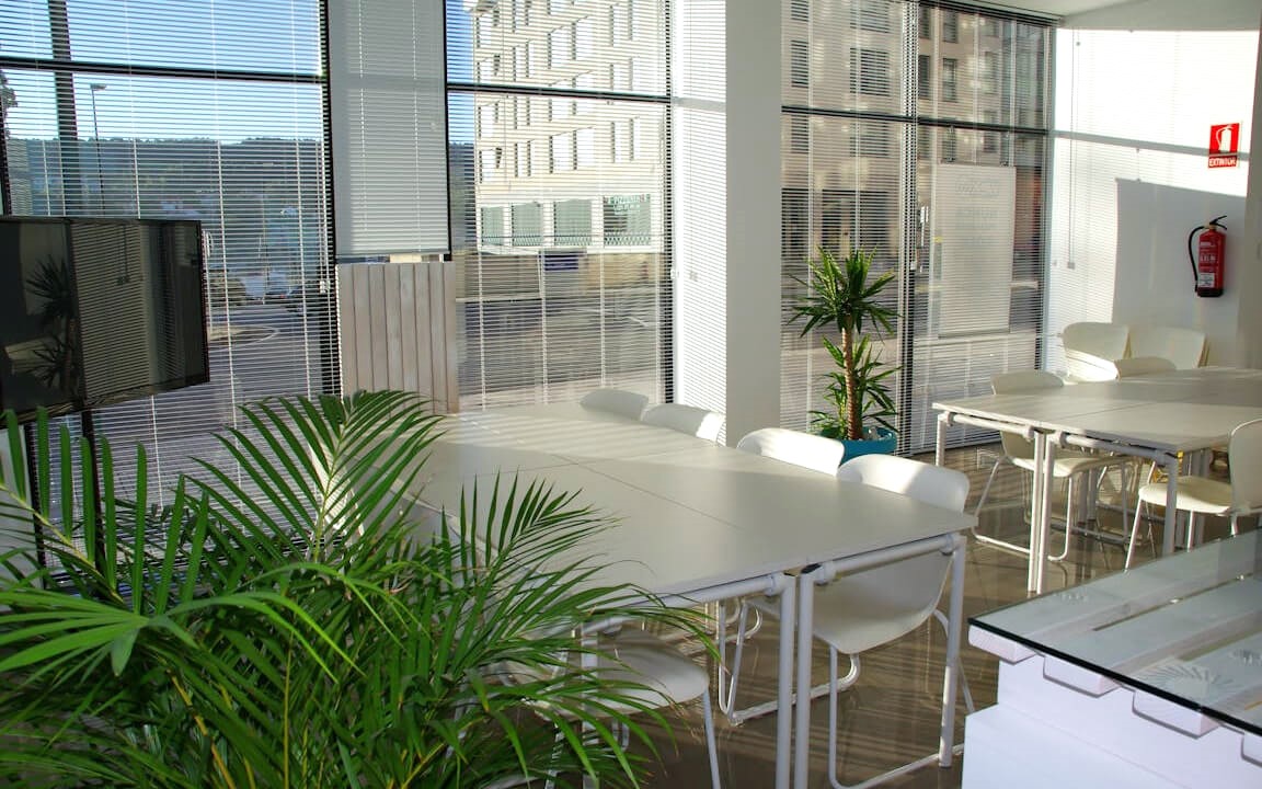 https://avori.by/assets/img/articles/office-plants.jpg